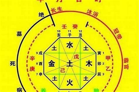 喜用神分析|八字喜用神